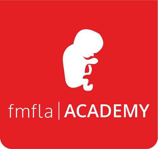 Layout-Academy2 1