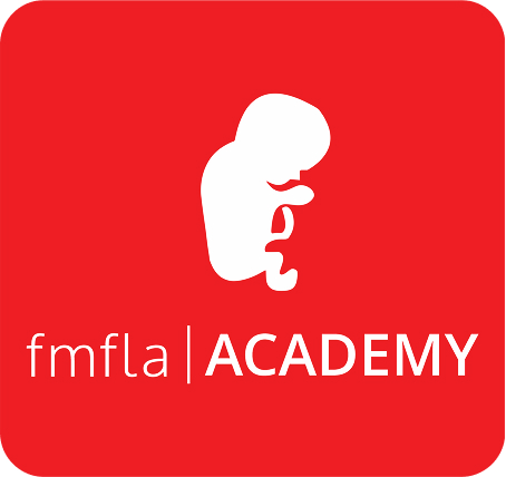 Layout-Academy2 2